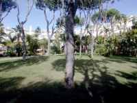 ��� - ����������� �� RCC-TRAVEL.RU